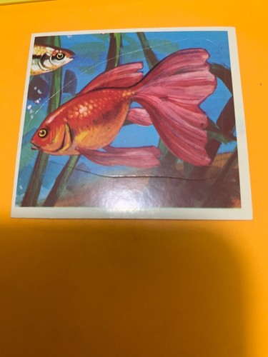 Figurina 213 mondo degli - il,