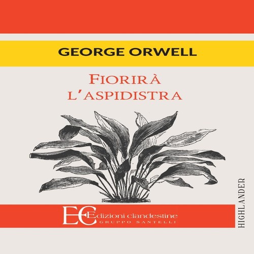 Fiorira aspidistra george - l'aspidistra,
