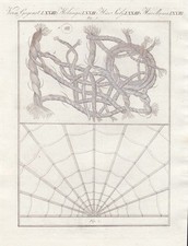 Materiale In Stoffa Pizzo