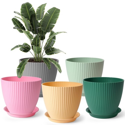 Vasi plastica grandi con - plastica,