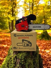 Motosega professionale da