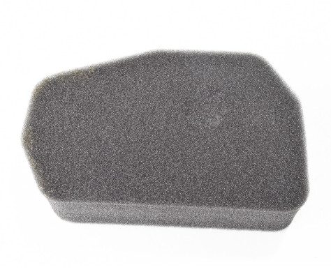 Ed0054960620 massa filter - ed0054960620-s, massa/filter