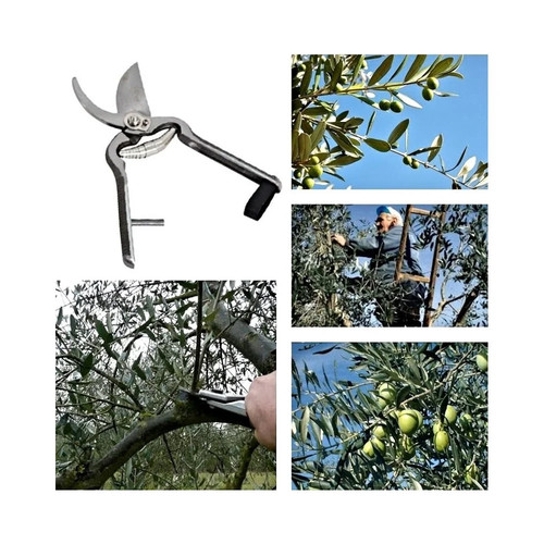 Cesoia forbici potatura - cesoia,