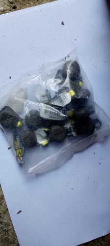 Piombi carpfishing 48g pesi - piombi,