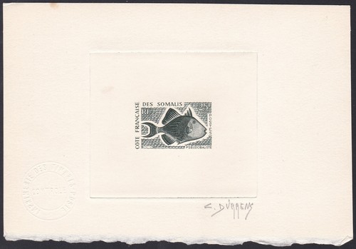 Somali coast sc281 - somali,