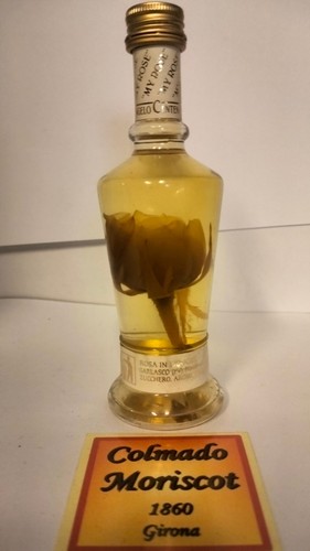 Rosa liquore marco 50 - di,