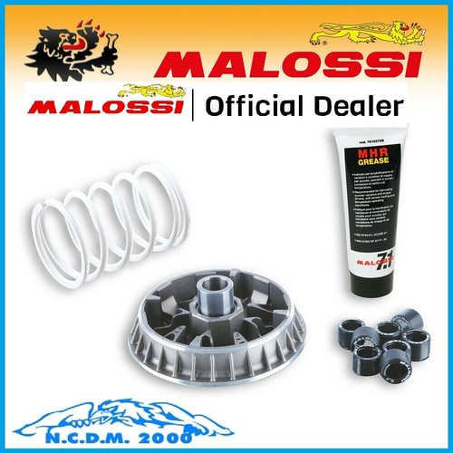 Variatore malossi multivar - malossi,