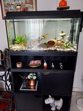 acquario completo usato con arredamento incluso