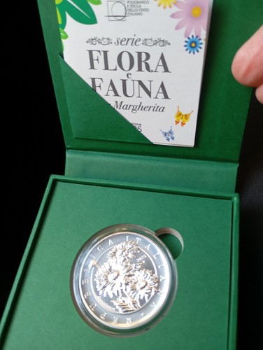 Moneta flora margherita - flora,