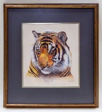 Senza titolo tigre - senza,