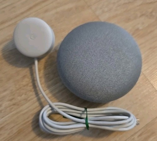 Google home mini smart speaker - google,