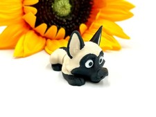 Belgian Malinois, Flexi Dog -