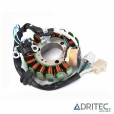 ✅ Alternatore Statore Yamaha
