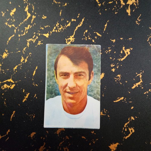 Verbania coppa rimet 1966 - verbania,