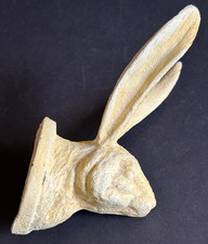 Jack Rabbit orecchio lungo