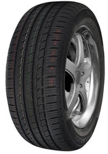 Royal black sport 245 - royal,