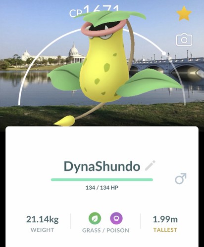 Pokemon victreebel sfondo - victreebel,