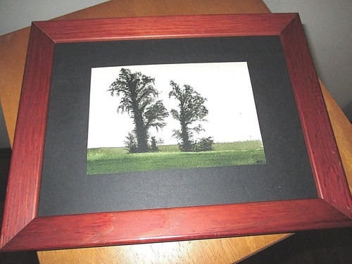 Quadro dipinto acquarello - dipinto,