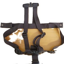 Cinghia Peg Perego 5 punti