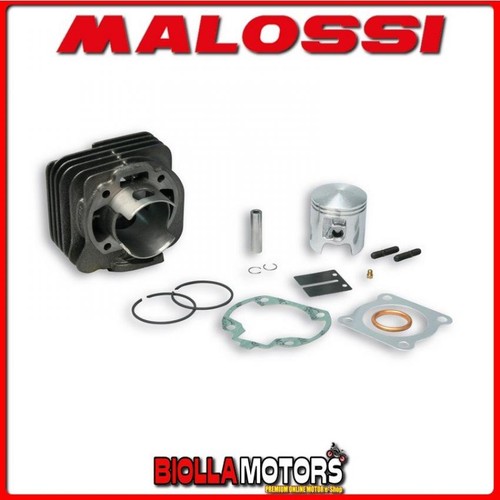316170 gruppo termico - 316170, malossi