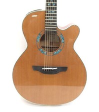 Takamine LTD2023 SANTA FE 2023