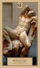 Michel Foucault. La cura di