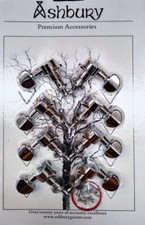 Ashbury BOUZOUKI TESTE