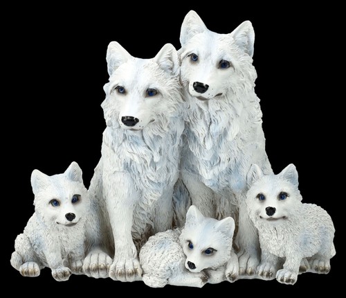 Lupo figura famiglia - lupo,