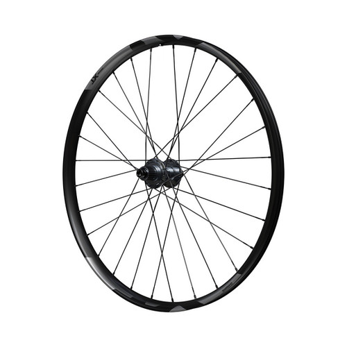 Ruota posteriore ciclo - ruota,