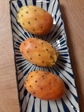 Fico d'india - Opuntia