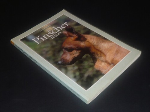 Lorena quarta pinscher - quarta,, il