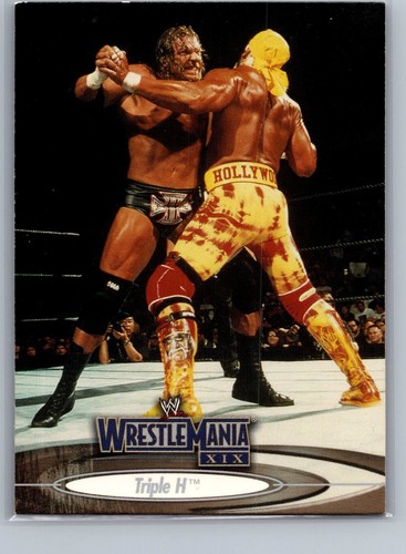 2003 fleer wwe - fleer,