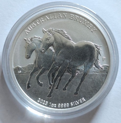 Australian brumby 2023 - australian,