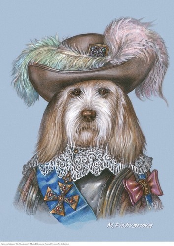 Spinone italiano - italiano, il