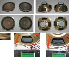 2 x haut parleurs boomers Dual