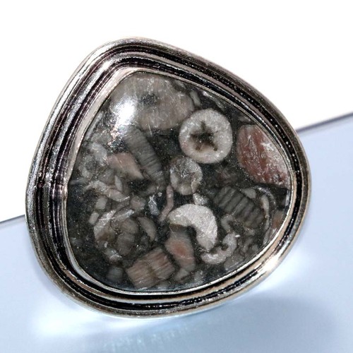 Anello fossile crinoide
