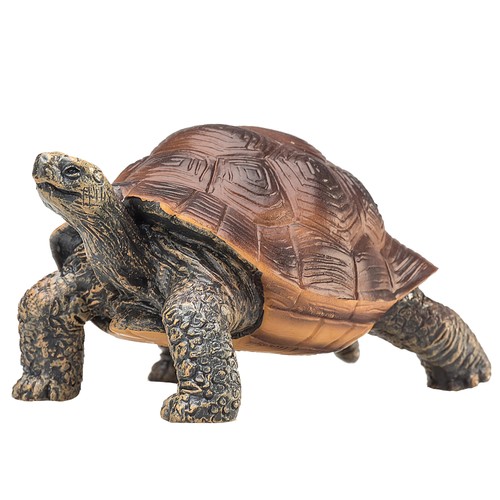 Mojo tartaruga gigante - tartaruga,