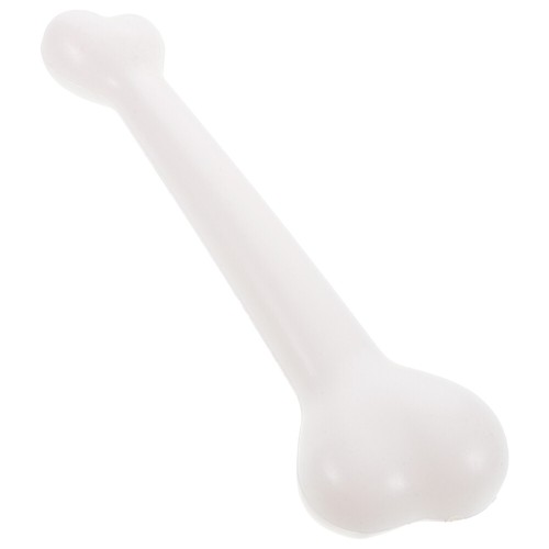 Modello ossa cane scheletri - ossa, di