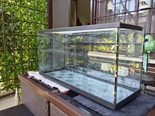 acquario usato 80x40x30 + mobiletto + LUCE al led e accessori 