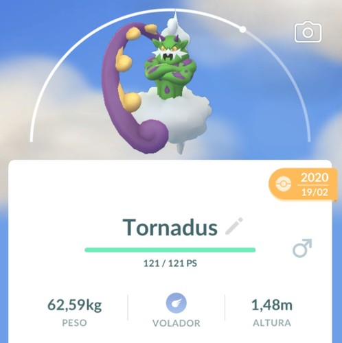 Pokemon legendary tornadus - legendary,