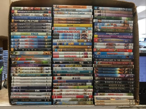 Dog cat movies you - dog, &