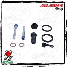 Kit revisione pinza - revisione,