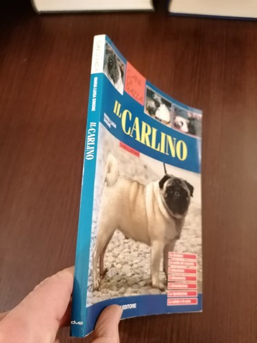 Cani razza carlino - razza,