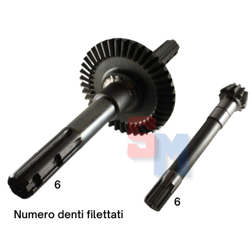 Coppia conica pignone - conica,