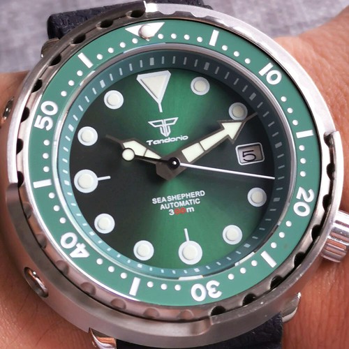Tandorio 5mm sapphire - tandorio, 46.5mm