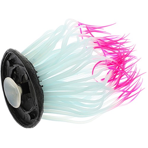 Accessori per acquario - , pesci