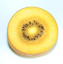 Actinidia deliciosa (KIWI GIALLO) | Kiwi | Kiwi - PIANTA