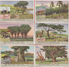 FIGURINE LIEBIG  SERIE COMPLETA FAUNA E FLORA DELL'ETIOPIA  N°S 1414 ANNO 1940
