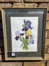 Quadro acquerello vintage - , iris