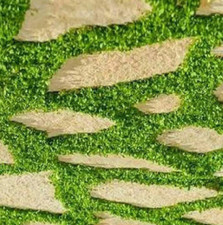 1000 Semillas de Dichondra  -